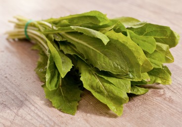 greens-chicory photo