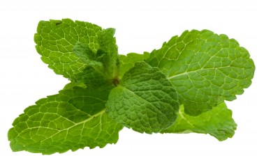 recipe picture