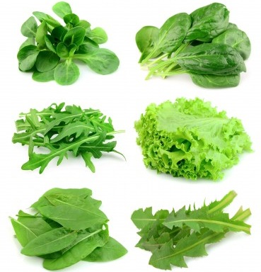 salads photo