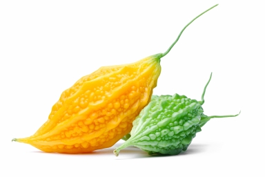 spare-bittermelon photo