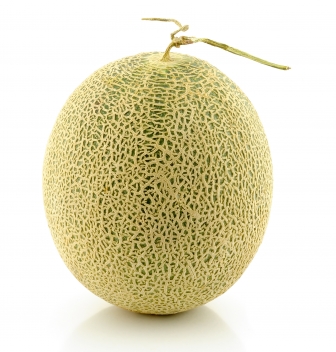 spare-cantaloupe photo