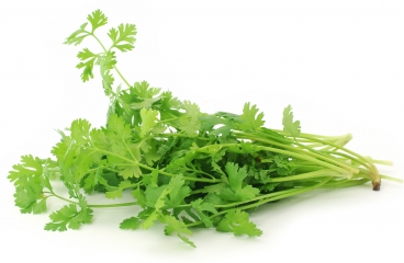 spare-coriander photo