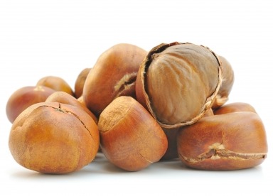 spare-filberts photo