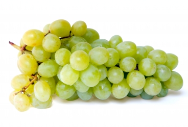 spare-grapesgreen photo