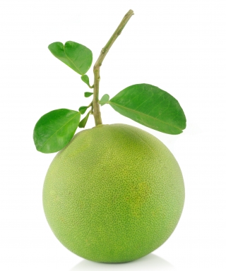 spare-pomelofruit photo