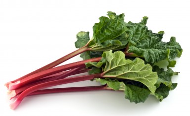 spare-rhubarb photo