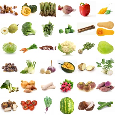veggies photo